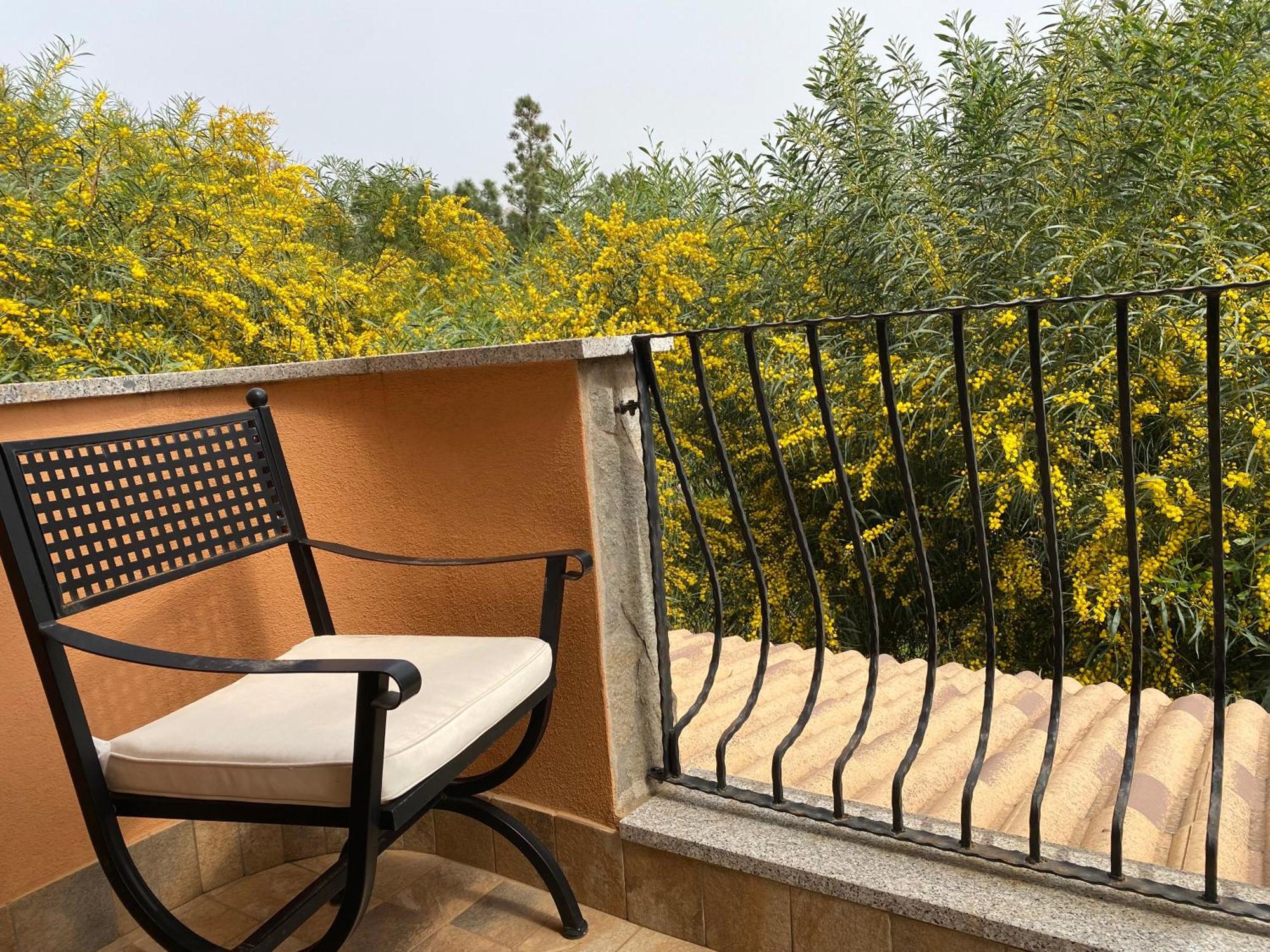 Residenza I Ginepri Villa ดอมุสเดมาเรีย ภายนอก รูปภาพ