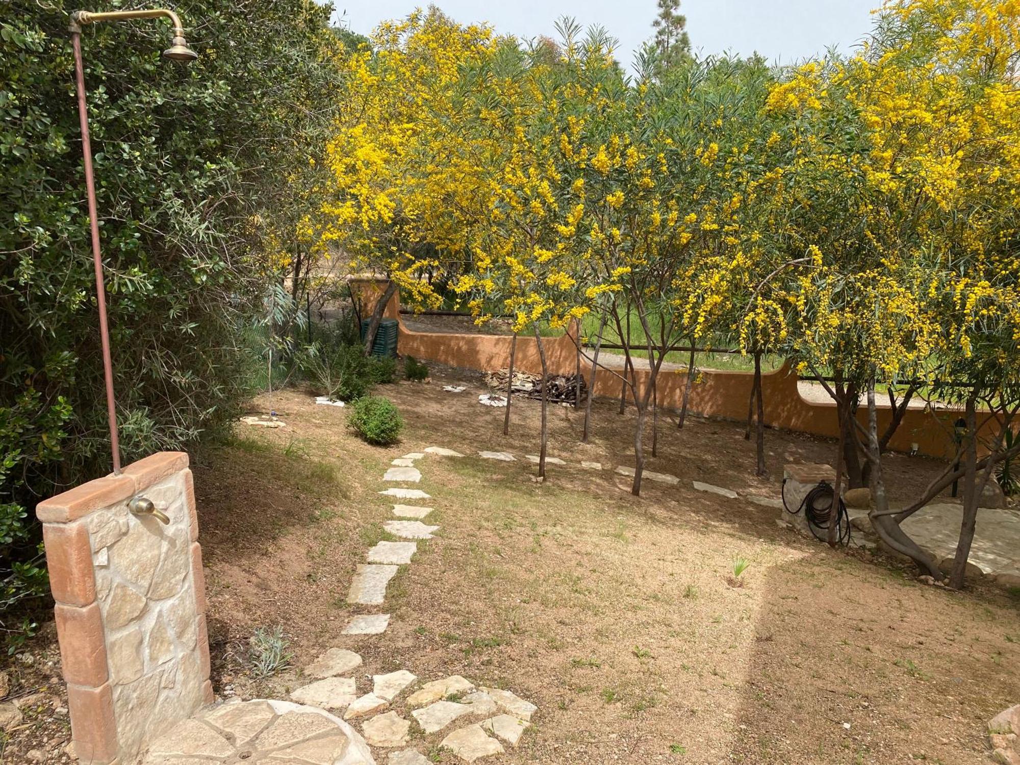Residenza I Ginepri Villa ดอมุสเดมาเรีย ภายนอก รูปภาพ